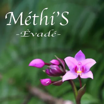 Évadé by Methi's