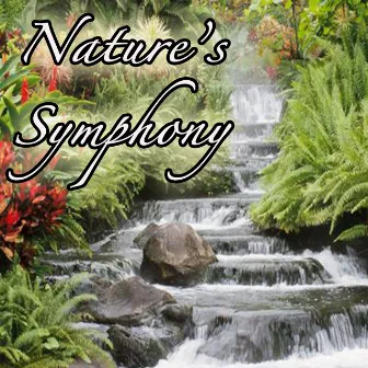 Nature's Symphony: Music from Outdoors, Nature, Environment, Earth, and Life by Genesis