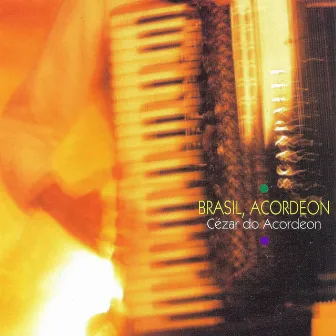 Brasil Acordeon by Cézar do Acordeon