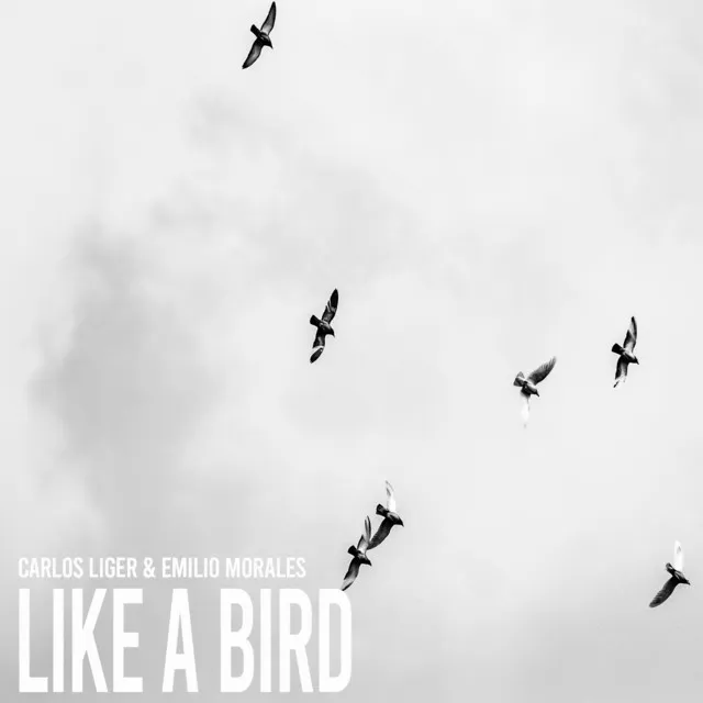 Like a Bird