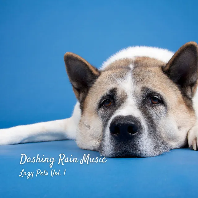 Dashing Rain Music: Lazy Pets Vol. 1