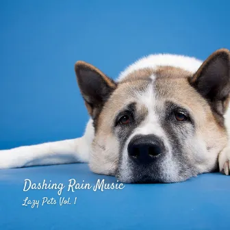 Dashing Rain Music: Lazy Pets Vol. 1 by Songs for Dogs to Sleep To