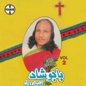 Babu Shaad Of Narowal, Vol. 2 by Tarannum Naz