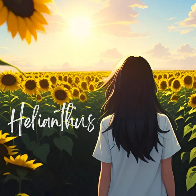 Helianthus