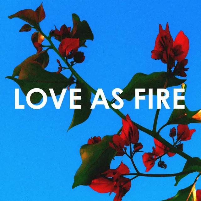 Love As Fire