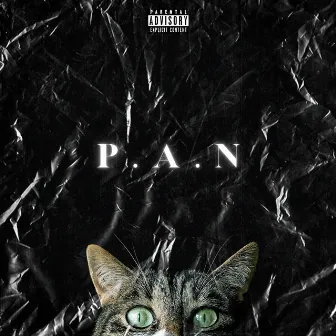 P.A.N by Sinnia Brown