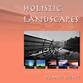 Holistic Landscapes, Vol. II by Renato Vizuet