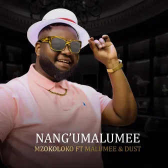 Nangu Malumee by Mzokoloko