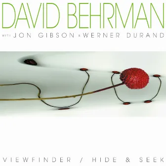 ViewFinder / Hide & Seek by David Behrman