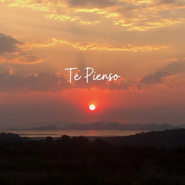 Te Pienso