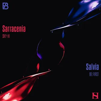 Sarracenia / Salvia by BE:FIRST