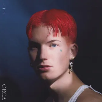 Orca by Gus Dapperton