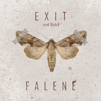 Falene by Luigi Exit