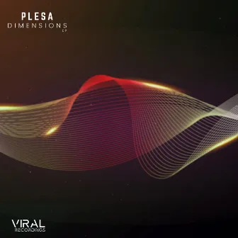 Dimensions EP by Plesa