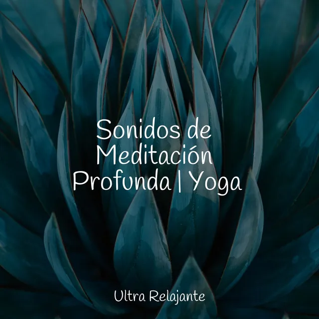 Sonidos de Meditación Profunda | Yoga