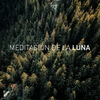 Meditación by Meditación De La Luna