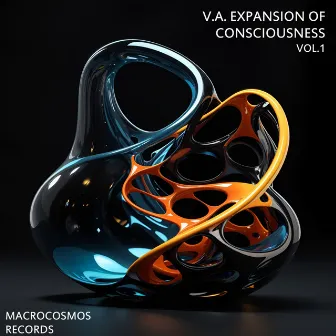 V.A. EXPANSION OF CONSCIOUSNESS VOL.1 by Washington Balduti