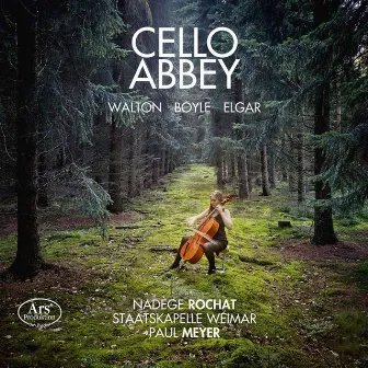 Cello Abbey by Nadege Rochat