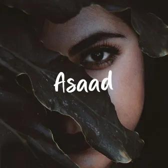 Asaad by Fatih Yilmaz