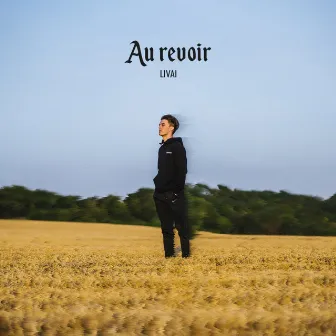 Au revoir by Livaï