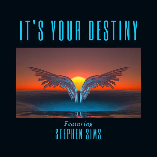 IT'S YOUR DESTINY