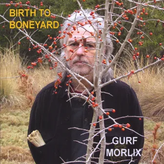 Birth To Boneyard by Gurf Morlix