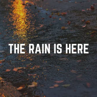 The Rain Is Here by Recording Nature