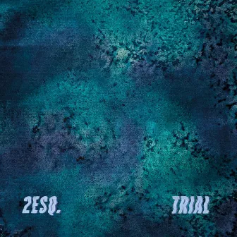 2ESQ. by Trial