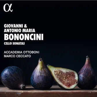 Bononcini: Cello Sonatas by Accademia Ottoboni