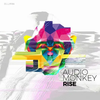 Rise by Audio Monkey