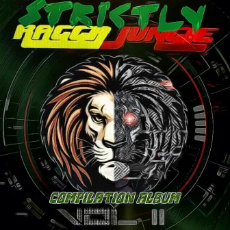 Strictly Ragga Jungle Compilation Album Vol 2 by Dj Stp