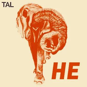 He by TAL