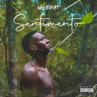 Sentimento by Ws do Beat