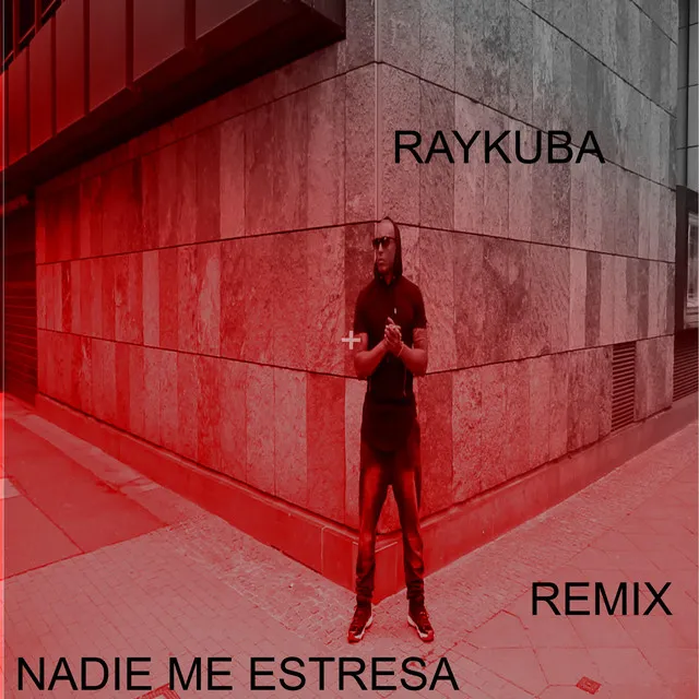 Nadie Me Estres (Remix)