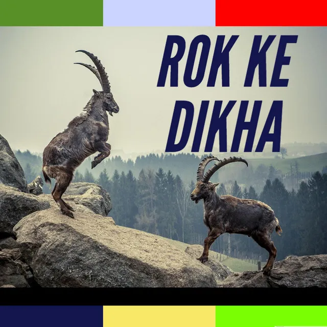 Rok ke Dikha