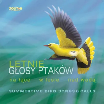 Letnie głosy ptaków by Odgłosy Natury