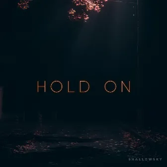 Hold On by Shallowsky