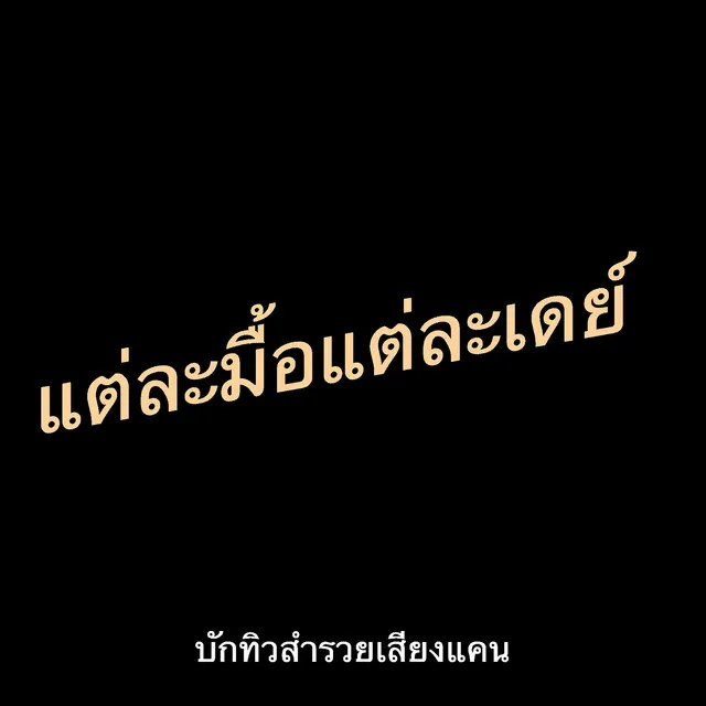 แต่ละมื้อแต่ละเดย์