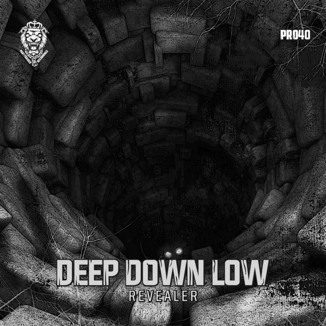 Deep Down Low