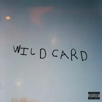 Wild Card by Zelooperz