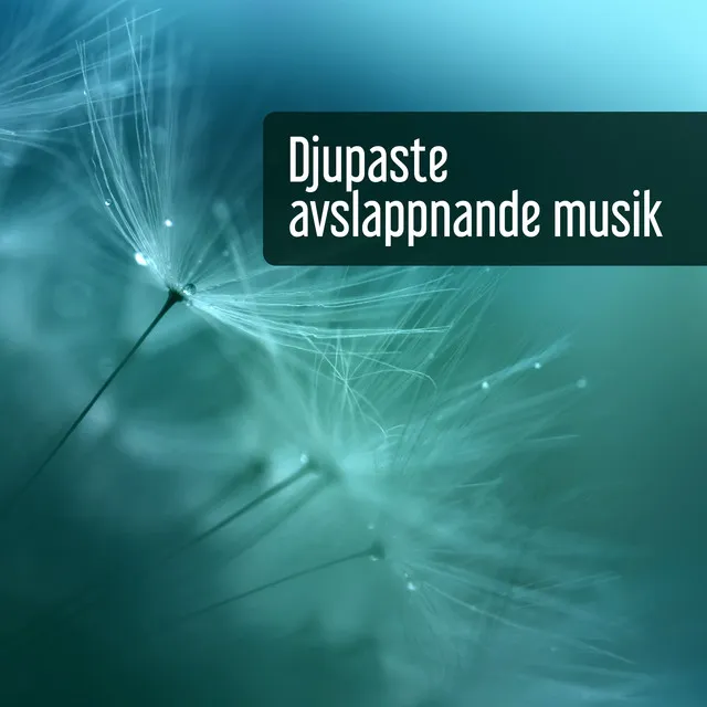 Djupaste avslappnande musik - Lugna and mjuka melodier, Mind regeneration, Naturen låter för stressavlastning