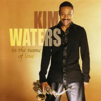 In The Name Of Love by Kim Waters