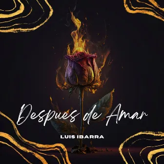 Despues de Amar by Luis Ibarra