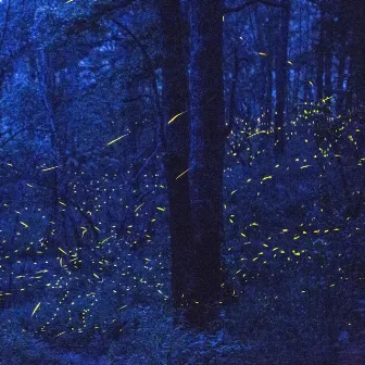 Fireflies by AcousticAl