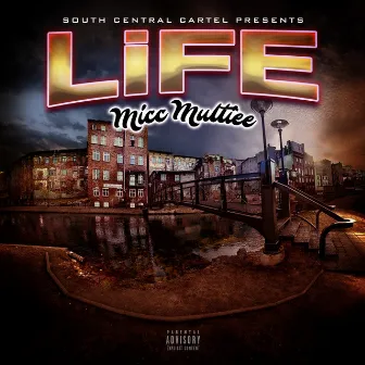 Life by Micc Multiee