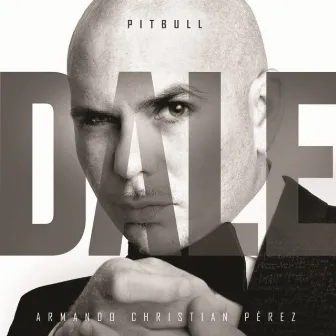 Dale by Pitbull