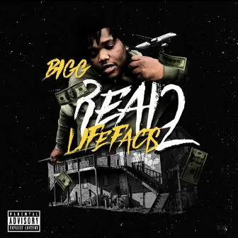 Real Life Facts 2 by Bigg