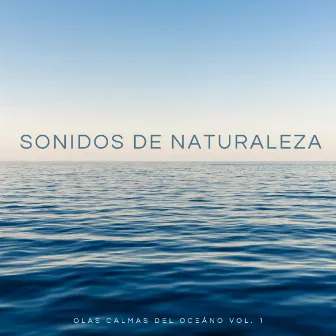 Sonidos De Naturaleza: Olas Calmas Del Oceáno Vol. 1 by Unknown Artist