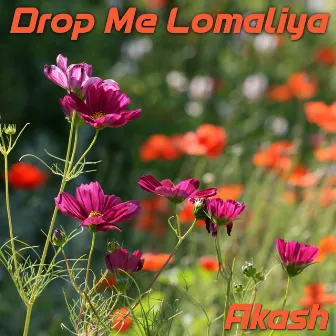 Drop Me Lomaliya by Ankan