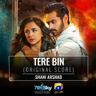 Tere Bin (Original Score) by Shani Arshad